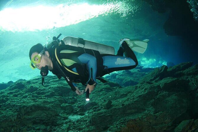 Tulum Area Experiences "Try" Scuba Diving Casa Cenote - Snacks - No experience - The Cost and Value of the Tour