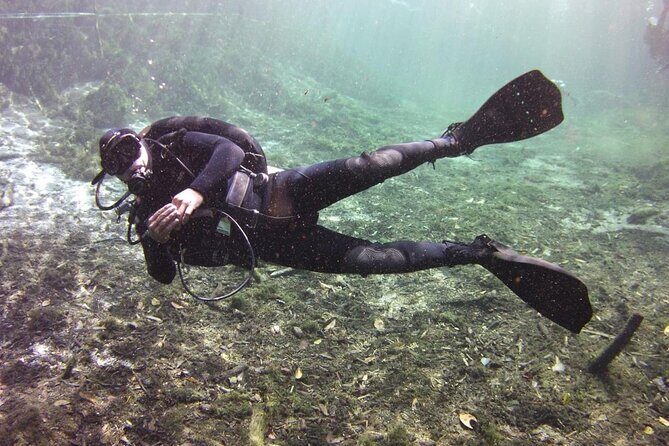 Tulum Area Experiences "Try" Scuba Diving Casa Cenote - Snacks - No experience - The Sum Up: Who Should Sign Up?