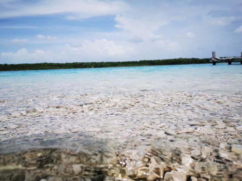 Tulum: Bacalar 7 Colors Lagoon Day Trip with Transport - Authenticity and Traveler Feedback