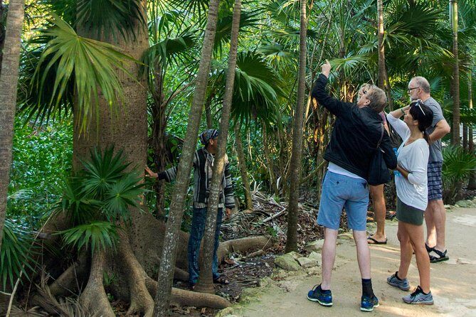 Tulum Bike Tour Tulum Maya Ruins Cenote Swimming Pueblo History Art Tacos Lunch - Final Word