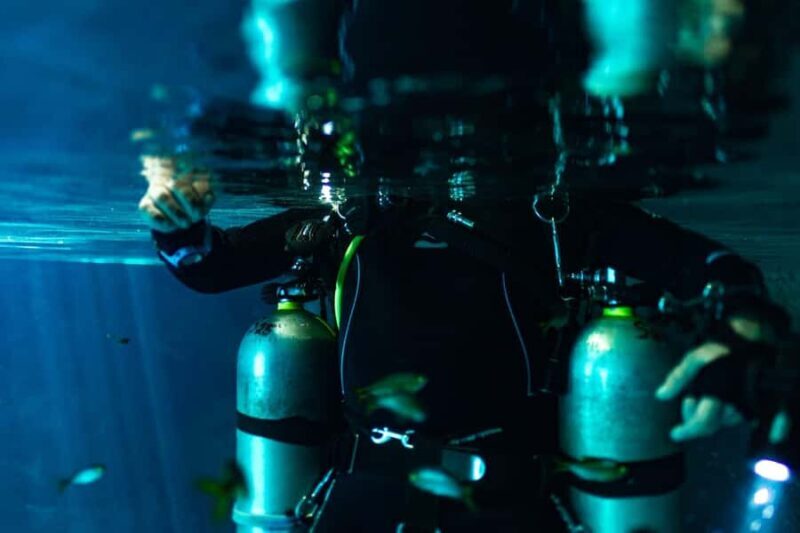 Tulum: Cenote Dos Ojos Dive Dive Machine Experience - Key Points