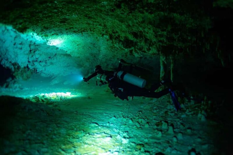 Tulum: Cenote Dos Ojos Dive Dive Machine Experience - The Environment and Accessibility