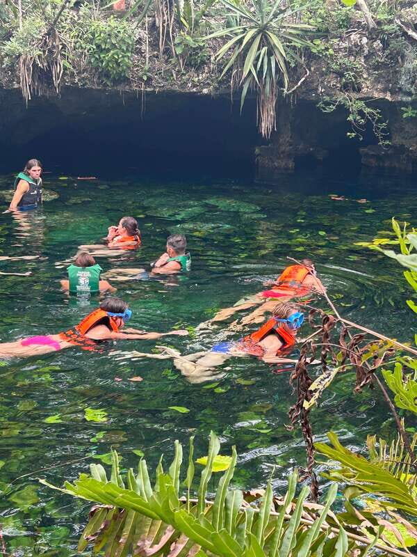 Tulum: Cenotes Tour with Snorkeling and Lunch - Transportation and Convenience