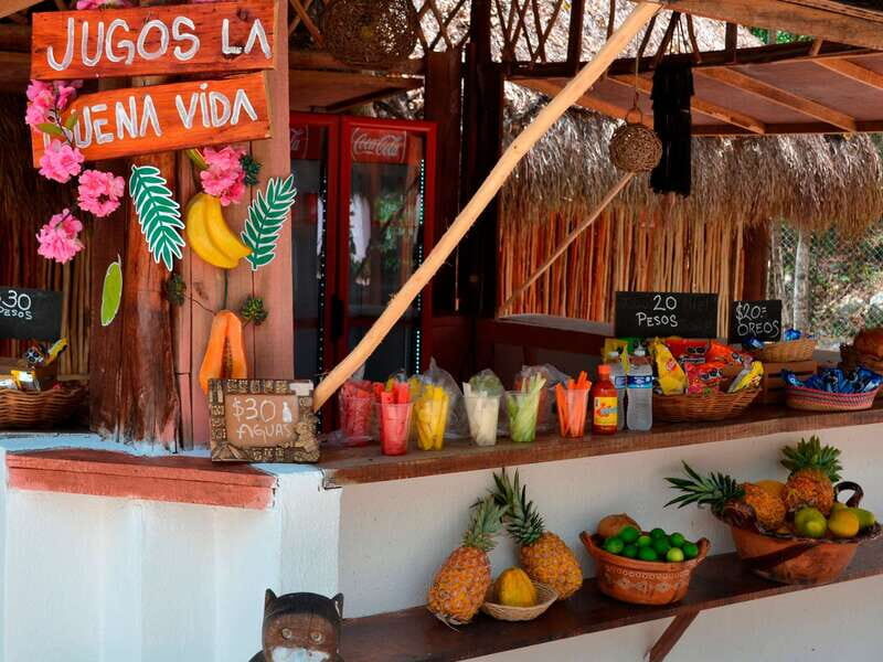 Tulum: Chocolate & Honey Sanctuary Experience with Lunch - Final Thoughts: Is This Tour for You?