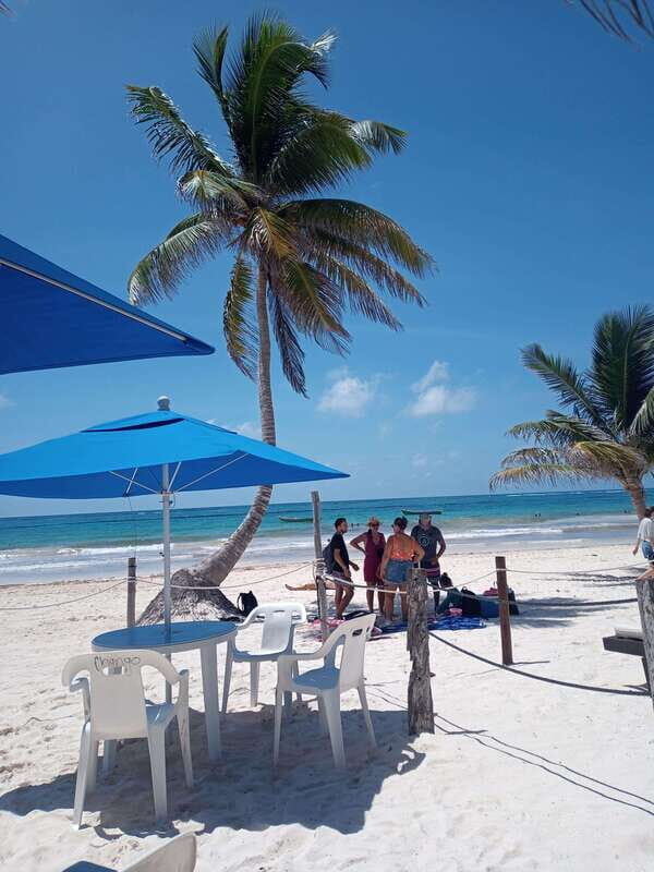 Tulum: Deep Sea Fishing - The Sum Up: Is It Worth It?