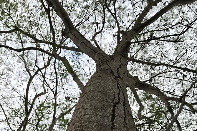 Tulum Deluxe (Tulum Ruinas, Kaan Luum Lagoon, Cenote Corazon) - Wrapping It Up