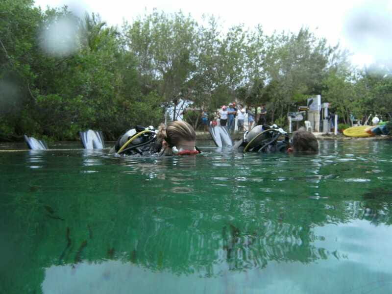 Tulum: Discover Scuba Diving in Cenotes - Final Thoughts