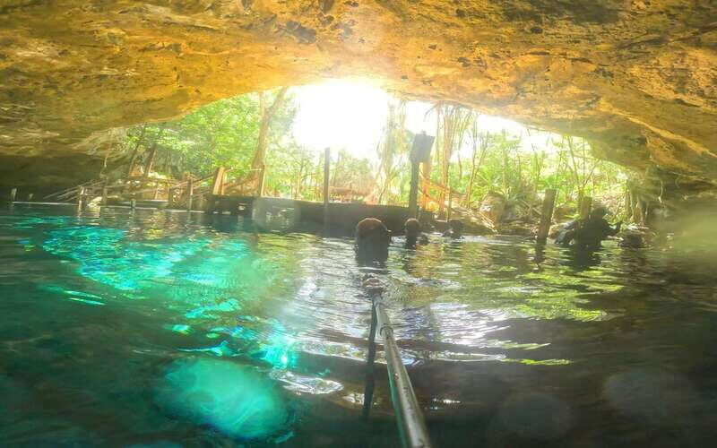 Tulum: Dos Ojos Cenote 2 Scuba Dives with Transfer Option - The Sum Up