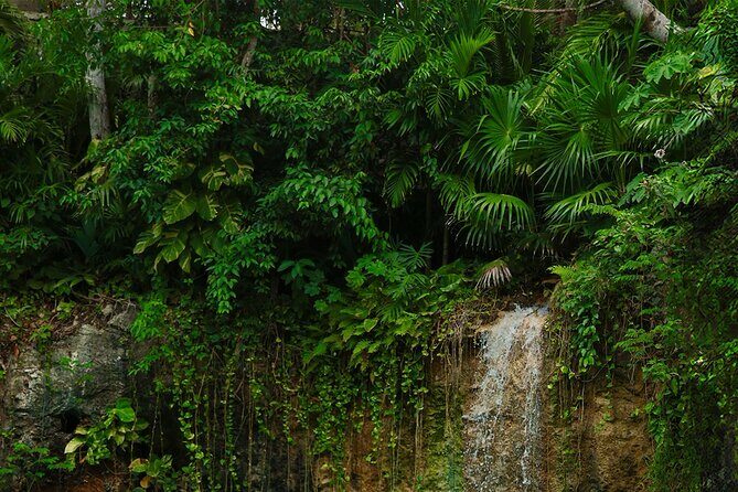 Tulum Essence Art and Photography Tour - What’s Included and What to Expect