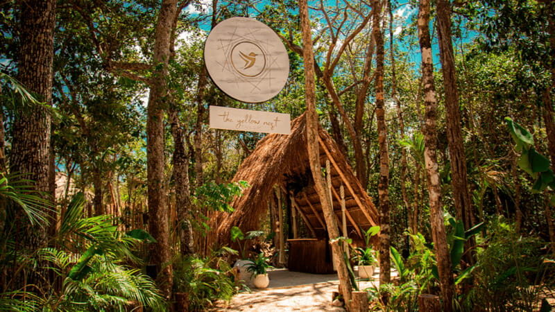 Tulum: Floating Breakfast in The Yellow Nest (Day Pass) - The Value of the Experience