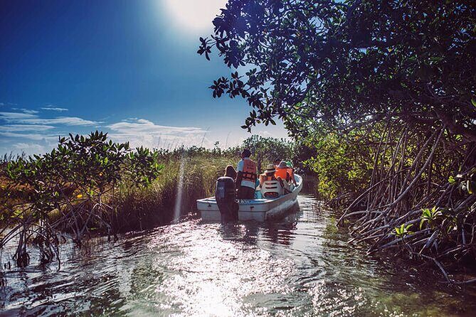 Tulum Guided Scooter Tour, Muyil Ruins, Boat Eco, Float Down Mayan Canals Lunch - Who Should Consider This Tour?
