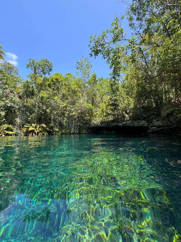 Tulum: Guided Tour of Mayan Ruins and Coral Reef Swim - Final Words