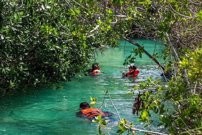 Tulum History, Sian Ka'an Floating Canals and Tacos Honorio Lunch - Practical Details and What to Expect