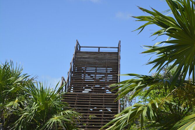 TULUM Jaguar Park Day Pass - Who Should Consider This Tour?