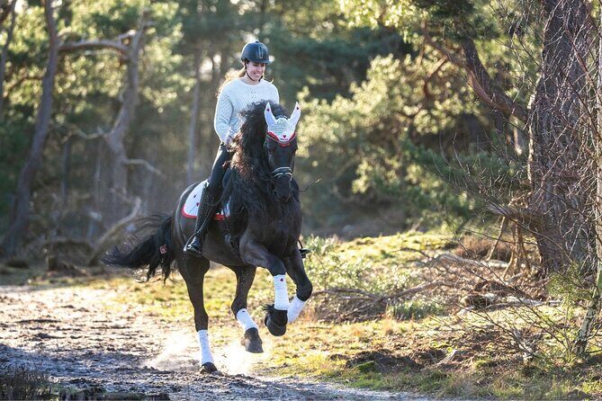 Tulum Jungle Horseback Ride + ATV + Ziplines + Cenote Combo Tour - An In-Depth Look at the Tour Experience