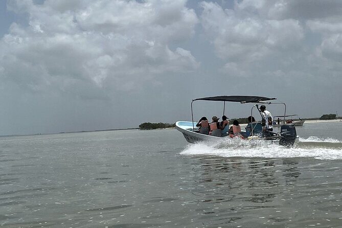 Tulum Las Coloradas and Rio Lagartos Pink Lagoon and Flamingos - The Sum Up: Who Will Love This Tour?