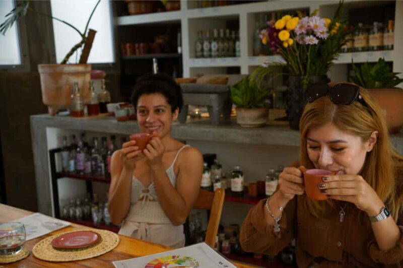 Tulum: Mexican Specialty Coffee and Fine Chocolate Tasting - Key Points