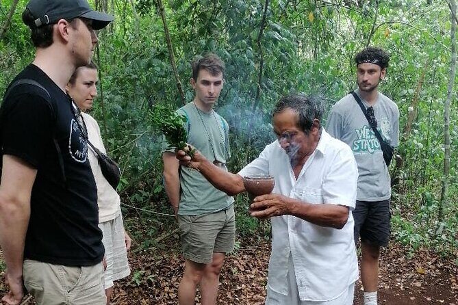 Tulum Monkey Sanctuary Tour Punta Laguna - The Itinerary: A Day in the Jungle