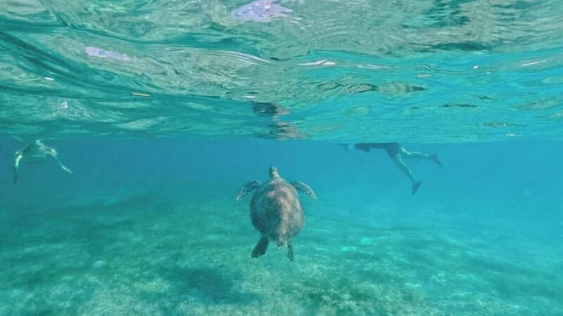 Tulum Platinum Tour with Akumal Turtles & Nohoch Cenote - A Closer Look at the Tour Itself