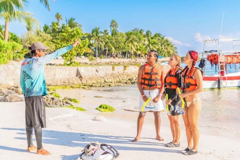 Tulum Platinum Tour with Akumal Turtles & Nohoch Cenote - Pricing and Value