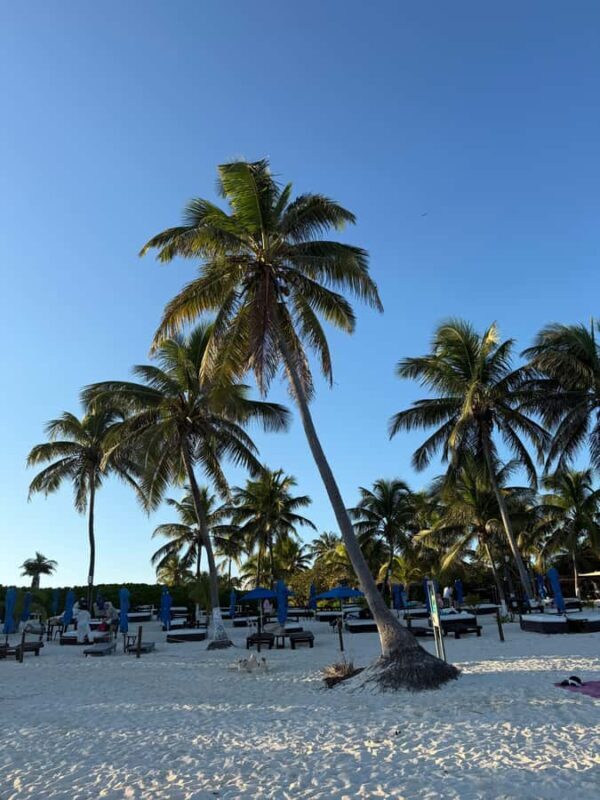 Tulum: Private Beach Photo and Video Session - Key Points