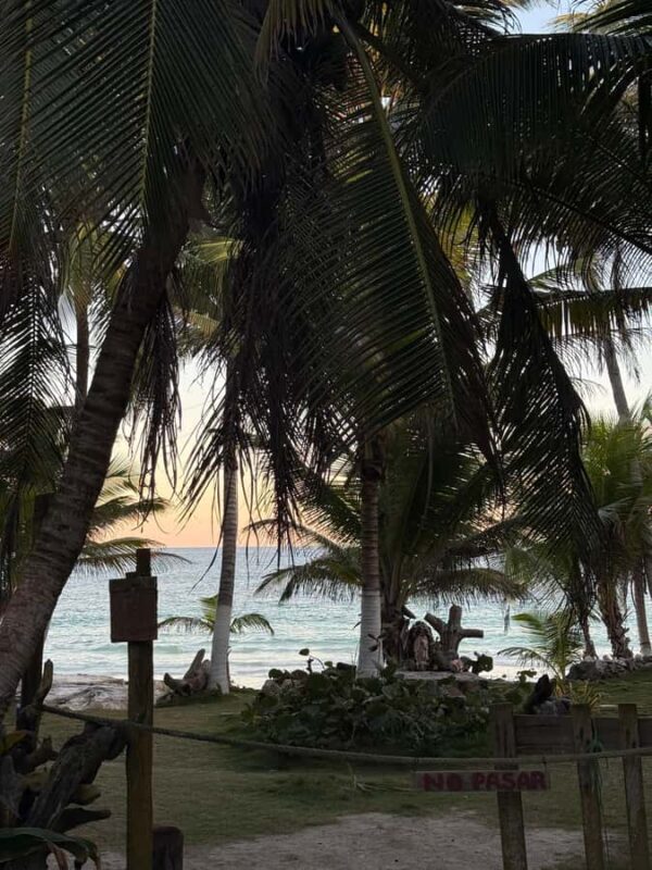 Tulum: Private Beach Photo and Video Session - The Practicalities