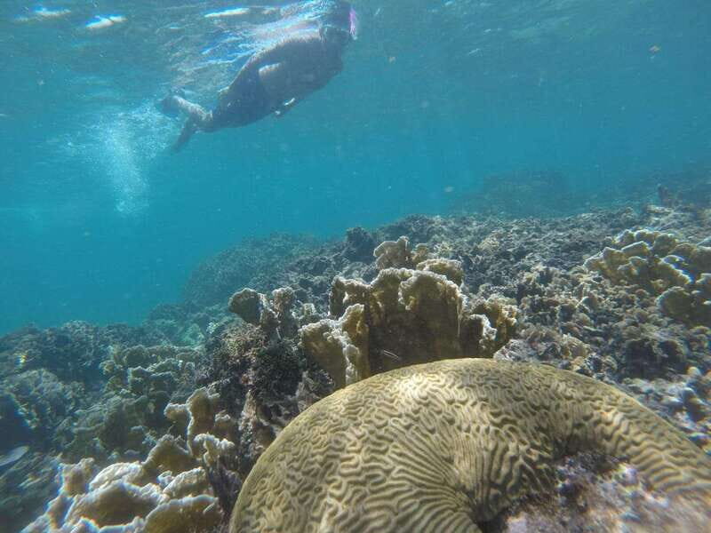 Tulum: Private Snorkel and Sailing Experience - A Close Look at the Experience