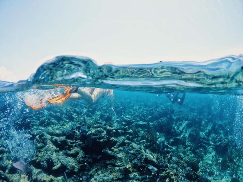 Tulum: Private Snorkel and Sailing Experience - FAQ