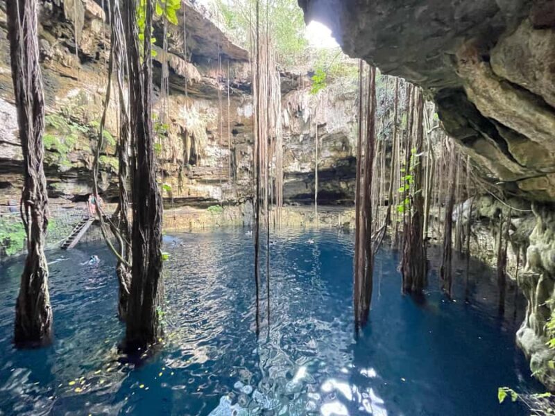 Tulum: Private Tour 3 Cenotes Suytun, Oxman, Saamal. With Lunch - Exploring the Cenotes: A Closer Look