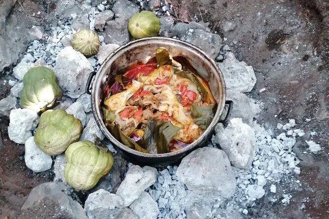 Tulum Private Transportation - Who Will Benefit Most?