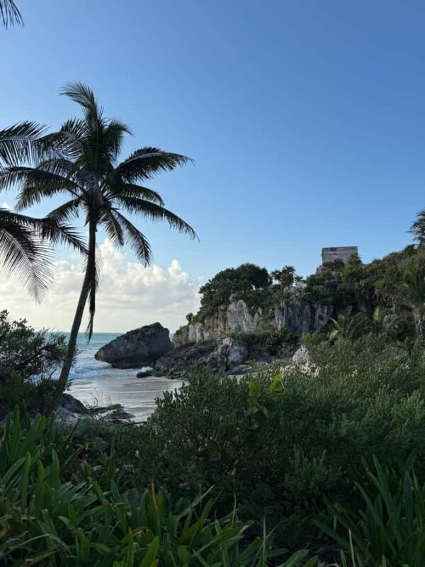 Tulum: Private VIP Tour with Cavern. - What to Bring and What to Expect