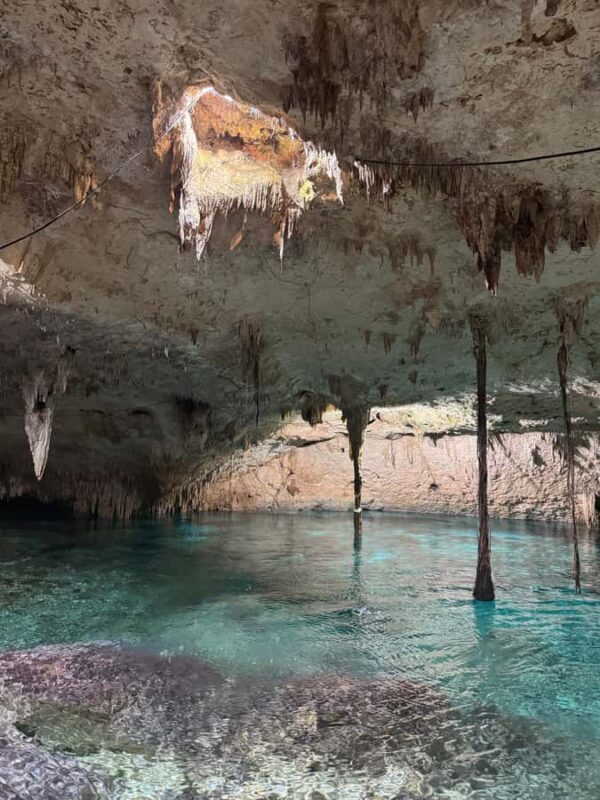 Tulum: Private VIP Tour with Cavern. - FAQ