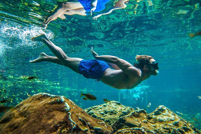 Tulum Ruinas and Tortugas Express - The Value Proposition: Is It Worth It?