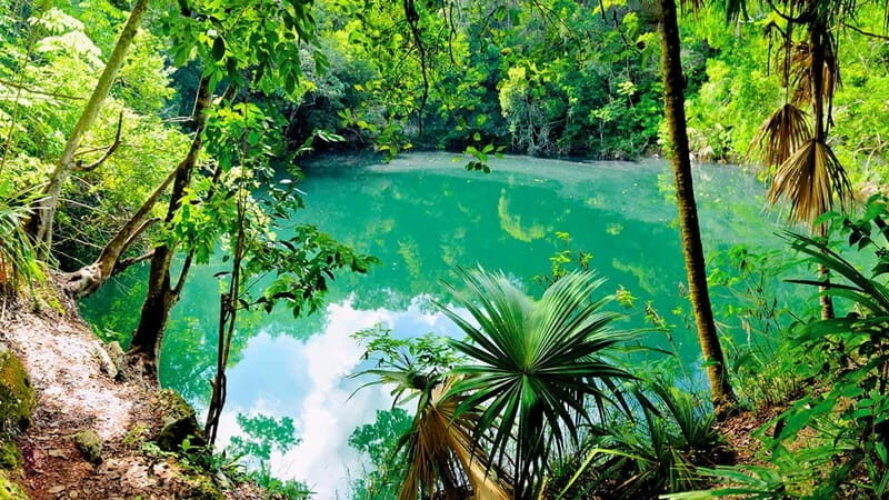 Tulum Ruins and Cenote - Private Guided Tour - Final Thoughts