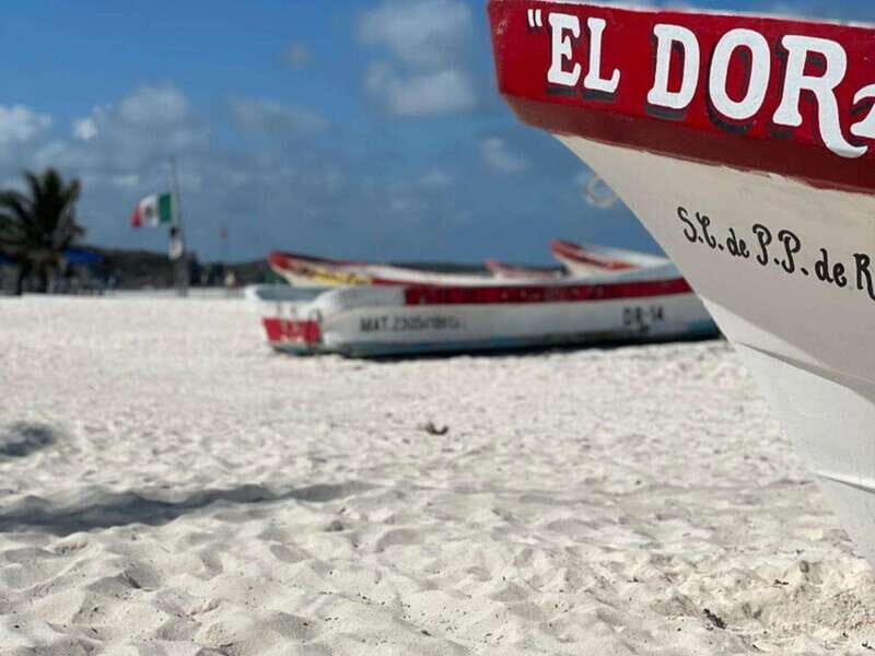 Tulum: Ruins by Boat, Swim with Turtles & Cenote Tour - Key Points