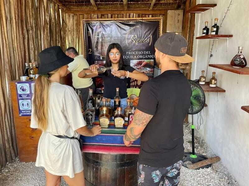 Tulum: Ruins by Boat, Swim with Turtles & Cenote Tour - The Sum Up: Is It Worth It?