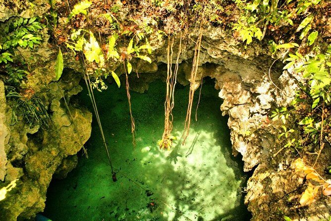 Tulum Ruins & Cenote guided private tour from Tulum and Riviera Maya. - FAQ