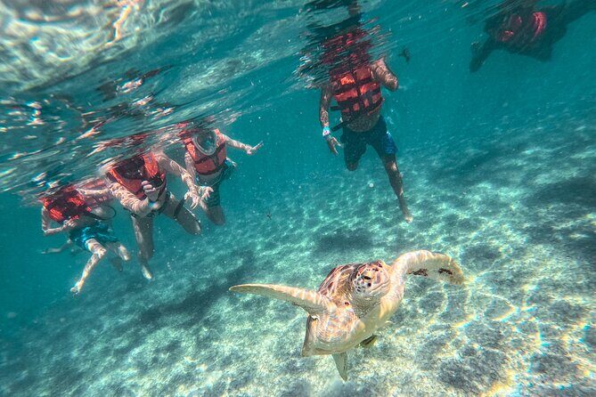 Tulum Ruins, Sea Turtles & Cenote Snorkeling Adventure Tour - Final Thoughts