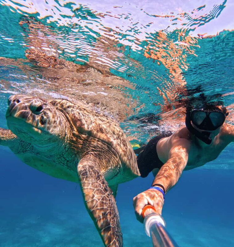 Tulum ruins, snorkel at the reef, and cenote - Diving Into the Experience: What to Expect