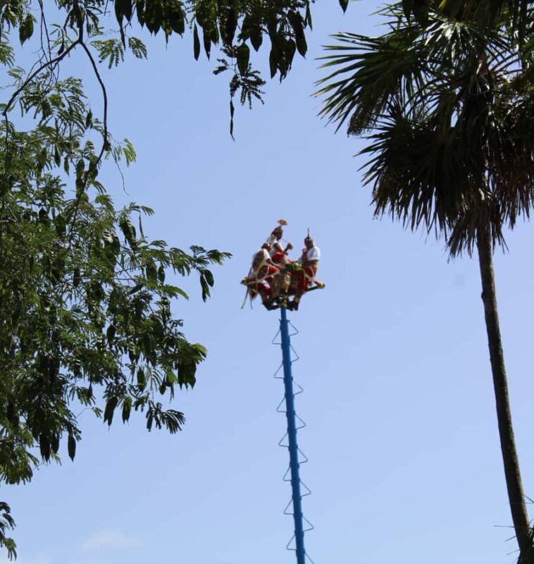 Tulum ruins, snorkel at the reef, and cenote - Final Thoughts: A Well-Rounded Tulum Day