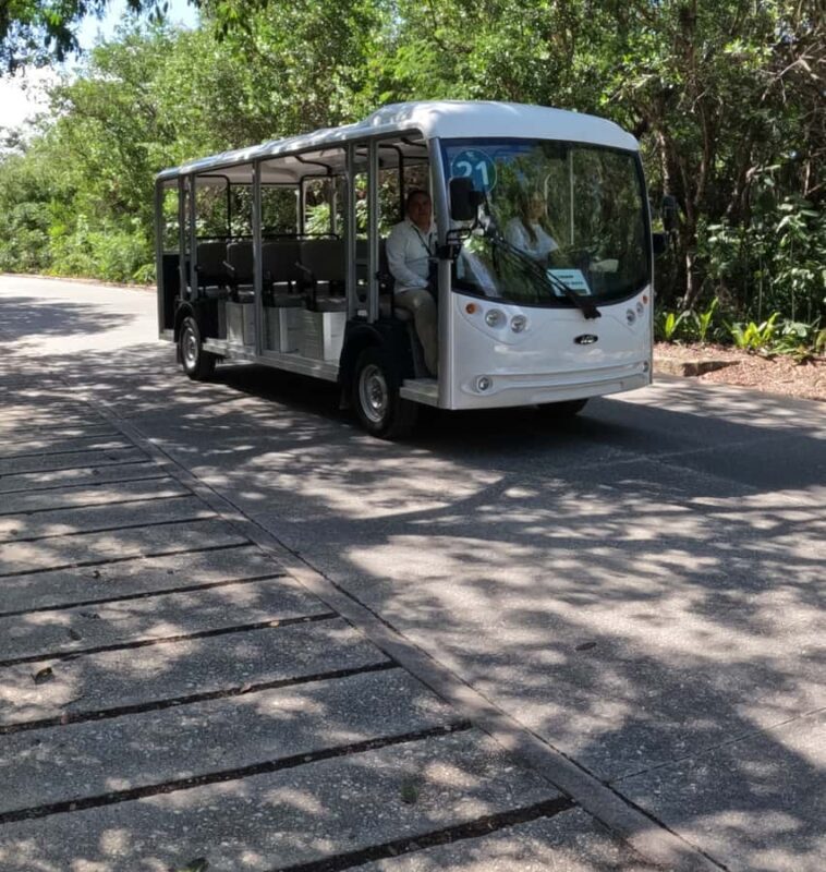 Tulum ruins, snorkel at the reef, and cenote - FAQ