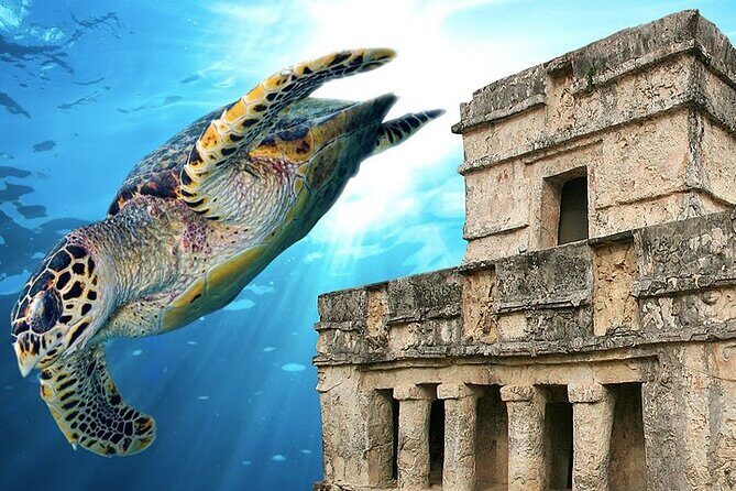 Tulum Ruins & Snorkeling with Sea Turtles Private Tour - Who Should Consider This Tour?