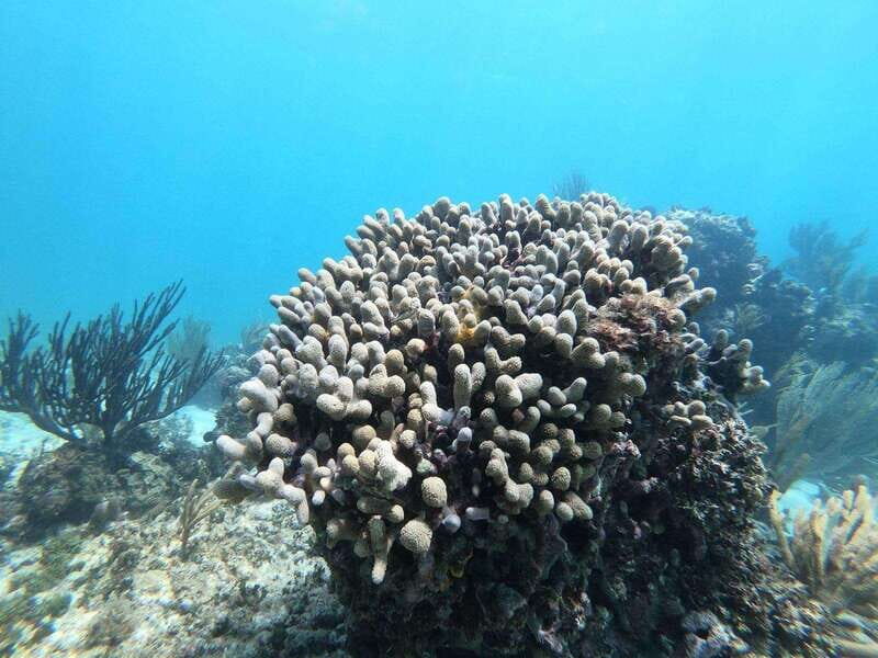 Tulum: Sailing tour - The Sum Up