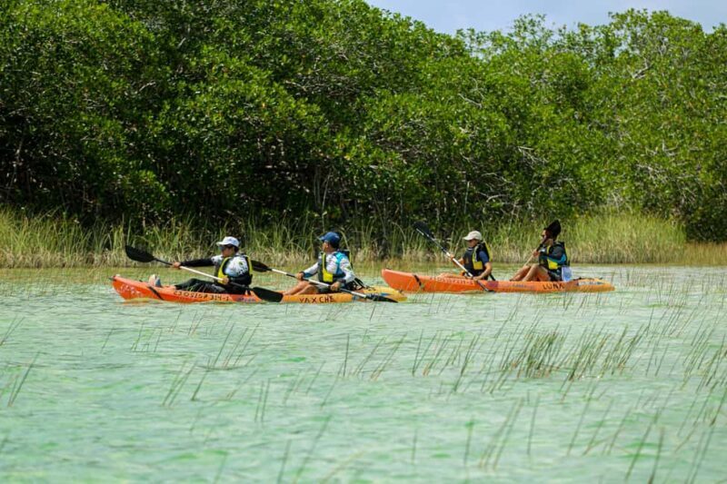 Tulum: Sian Ka'an Biosphere Reserve Kayak Tour - An In-Depth Look at the Sian Kan Kayak Tour