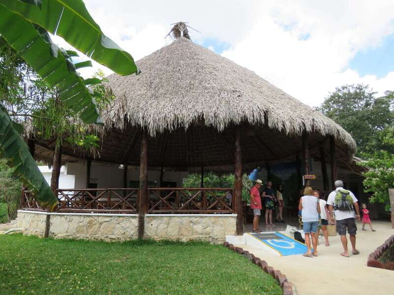 Tulum: Sian Ka'an Biosphere Reserve Kayak Tour - The Sum Up