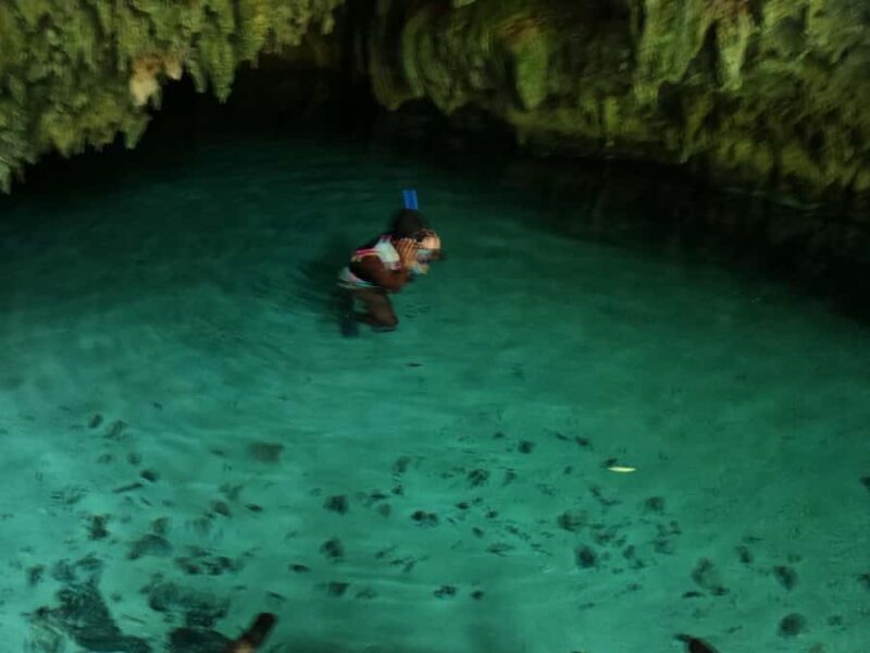 Tulum: Snorkel at the Cenotes and Underground Rivers - An Honest Look at the Cenotes Tour in Tulum