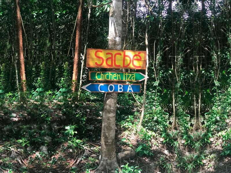 Tulum: Swim in Cenote Kaab Ha with Lunch - Concluding Thoughts