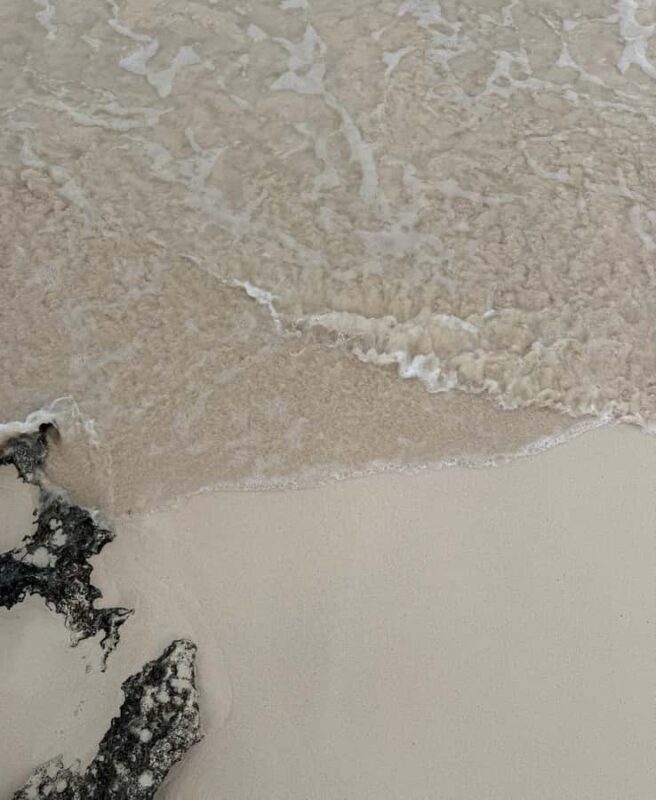 Tulum: Tulum Ruins and Sea Turtle Snorkeling Tour - An Introduction to the Experience