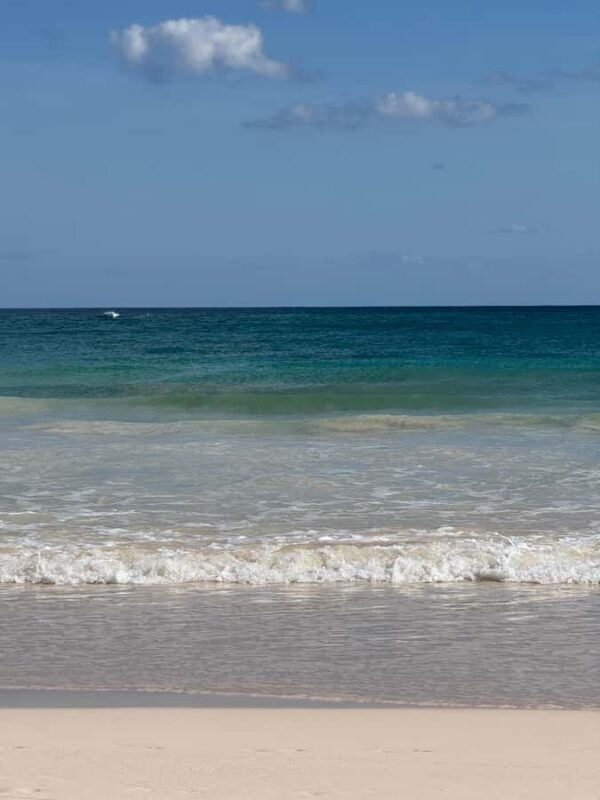 Tulum: Tulum Ruins and Sea Turtle Snorkeling Tour - What to Expect on the Tour