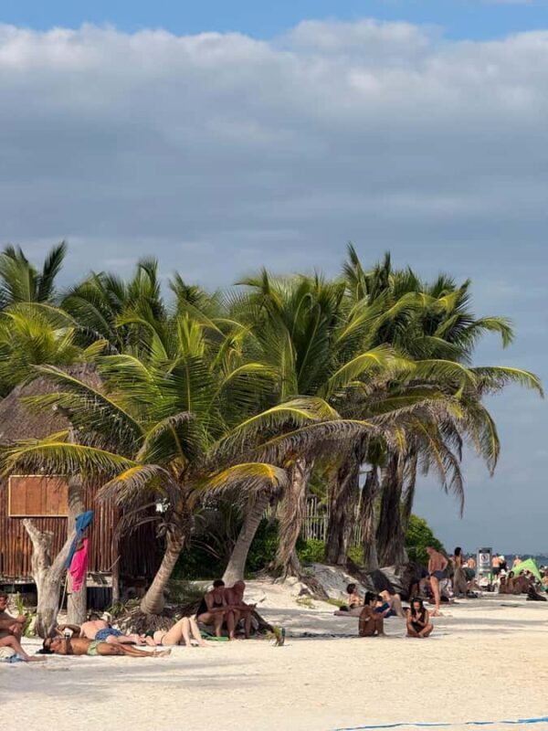 Tulum: Tulum Ruins and Sea Turtle Snorkeling Tour - Who Will Love This Tour?
